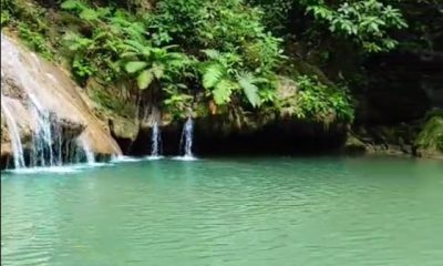 Pozo de los Pájaros, uno de los rincones naturales más impresionantes cerca de Caracas.