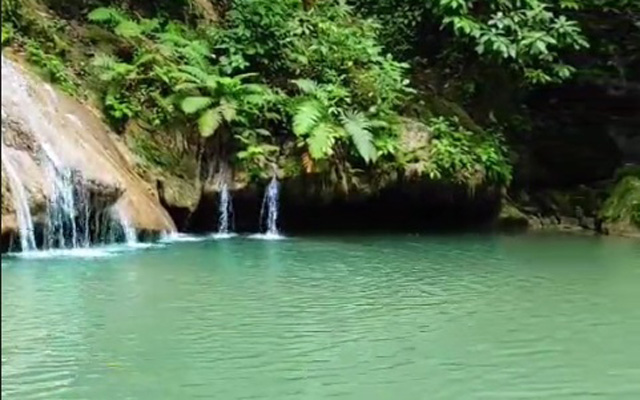 Pozo de los Pájaros, uno de los rincones naturales más impresionantes cerca de Caracas.