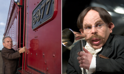 Warwick Davis regresa como Filius Flitwick