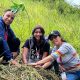 Voluntarios y funcionarios participan en la jornada “Sembrando Vida”, reforestando el Parque Nacional Waraira Repano en Caracas.