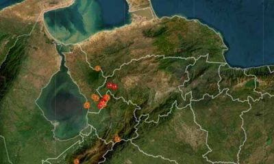 Practica la técnica "Agáchate, Cúbrete y Sujétate" como cultura de prevención sísmica en el hogar
