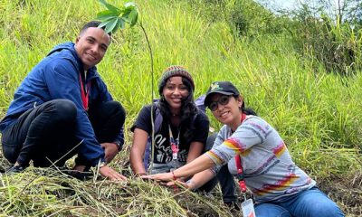 Voluntarios y funcionarios participan en la jornada “Sembrando Vida”, reforestando el Parque Nacional Waraira Repano en Caracas.
