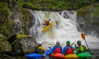 Celebración del Día Mundial de Protección de la Naturaleza en un ecosistema prístino.