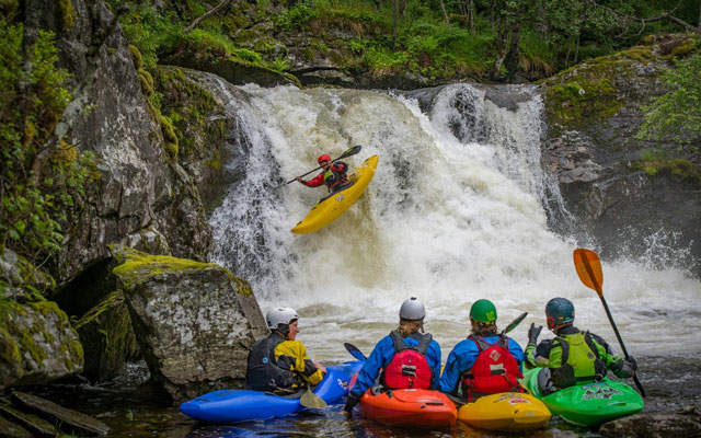 Celebración del Día Mundial de Protección de la Naturaleza en un ecosistema prístino.