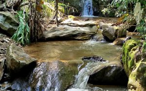 Los Saltos de La Llovizna forman parte del sistema hidrográfico que recorre las montañas del municipio Guaicaipuro