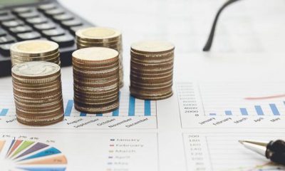 Explorando la Economía: La micro y macroeconomía se complementan para ofrecer una visión completa de la realidad económica.