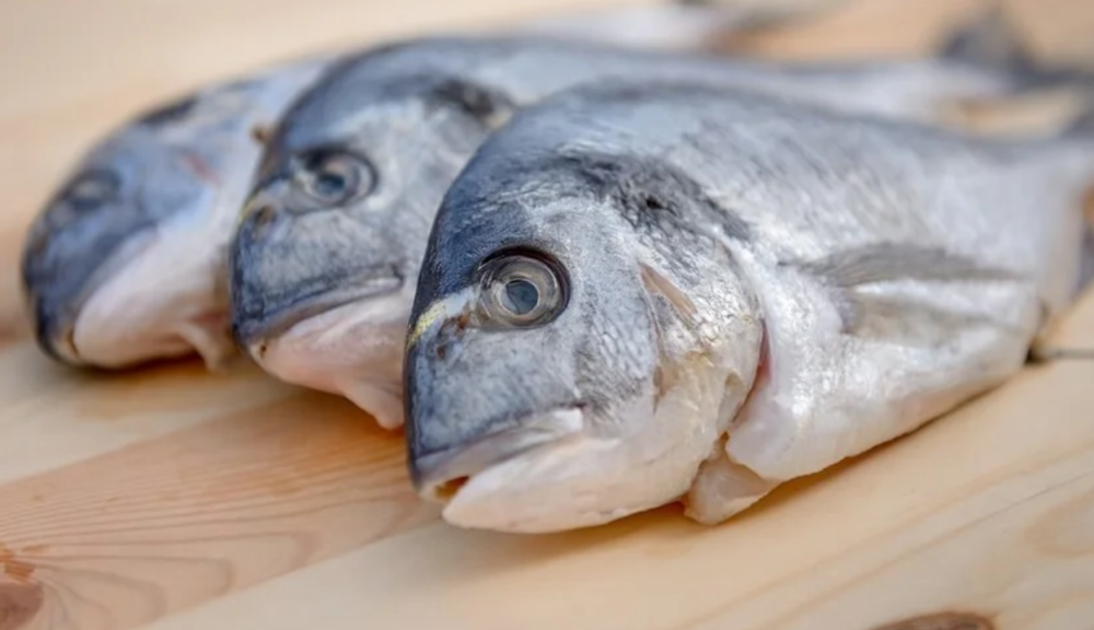 Aumenta la contaminación por mercurio: 20 millones de personas podrían estar en riesgo