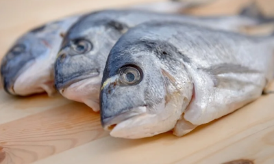 Aumenta la contaminación por mercurio: 20 millones de personas podrían estar en riesgo