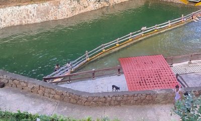 Piscinas naturales del Parque Tierra Blanca, alimentadas por el río y rodeadas de áreas verdes en el estado Guárico.
