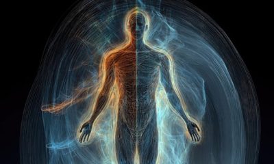 Cada célula del cuerpo humano responde a la vibración de nuestras palabras, demostrando la relación entre lenguaje, mente y materia.