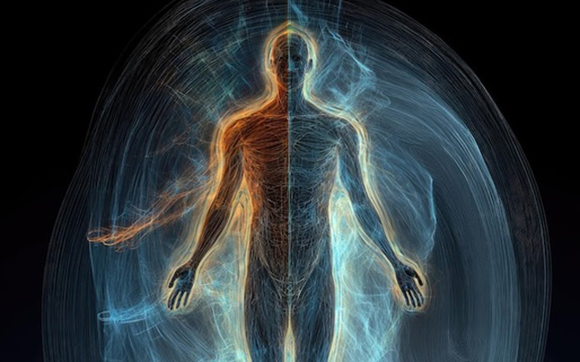 Cada célula del cuerpo humano responde a la vibración de nuestras palabras, demostrando la relación entre lenguaje, mente y materia.