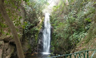 Parque Los Chorros: Un oasis natural en Caracas para disfrutar en familia