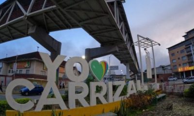 Fuertes brisas provocan caída de árboles y fallas eléctricas en comunidades de los Altos Mirandinos.