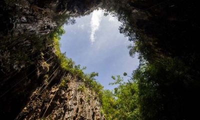 Proteger este refugio es proteger nuestras comunidades y nuestra biodiversidad. 🌱 Conservar hoy para vivir mañana.
