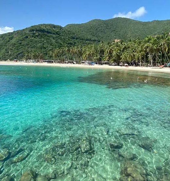 De Cata, Choroní y Cuyagua a Morrocoy, Margarita, Mérida, La Guaira, Los Roques y Canaima, Venezuela ofrece infinitos destinos para quienes deciden no quedarse en casa y celebrar la vida viajando por su propio país. 🇻🇪