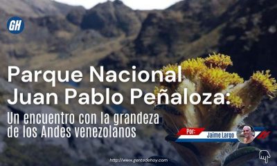 4. Senderos naturales del parque, ideales para el excursionismo y el turismo ecológico en los Andes venezolanos