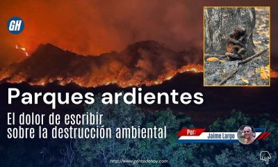 Incendios forestales consumen extensas áreas de vegetación en parques nacionales venezolanos, afectando gravemente la biodiversidad y el equilibrio ecológico.