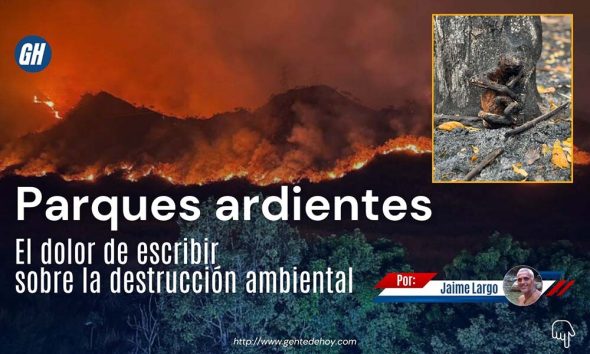 Incendios forestales consumen extensas áreas de vegetación en parques nacionales venezolanos, afectando gravemente la biodiversidad y el equilibrio ecológico.