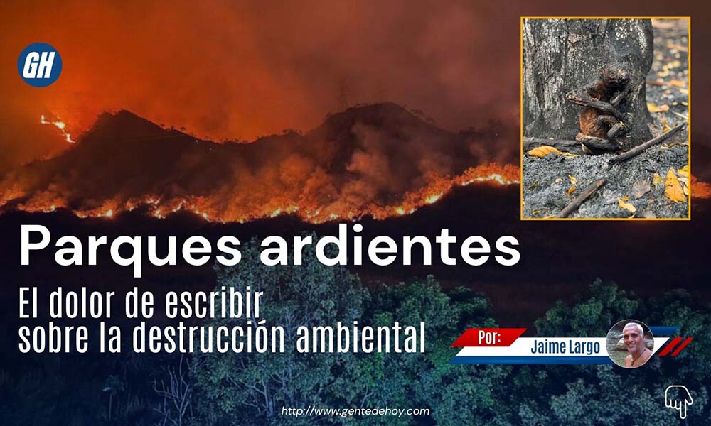 Incendios forestales consumen extensas áreas de vegetación en parques nacionales venezolanos, afectando gravemente la biodiversidad y el equilibrio ecológico.