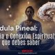 Conocida como el "tercer ojo", esta pequeña estructura cerebral regula el sueño y despierta debates sobre la conciencia expandida y el conocimiento ancestral.