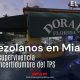 Venezolanos en Doral enfrentan incertidumbre ante el futuro del TPS y el aumento de deportaciones desde Miami.