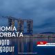 El desarrollo económico de Singapur es considerado uno de los ejemplos más exitosos de transformación económica en el mundo moderno.