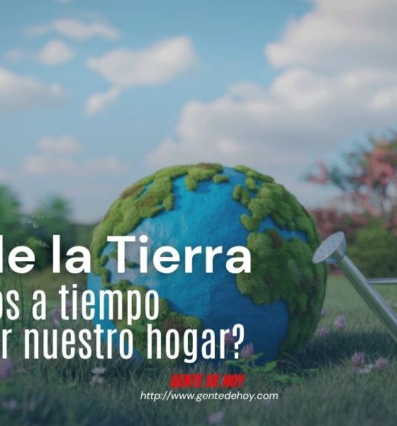 ¿Cómo cuidar el planeta en 2026? Guía de acciones y reflexión