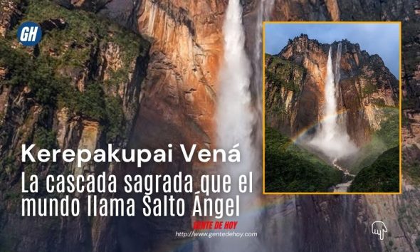 Vista del Salto Ángel o Kerepakupai Vená, emergiendo desde la cima del Auyantepuy en el Parque Nacional Canaima, estado Bolívar, Venezuela. La cascada, con 979 metros de altura total, se disuelve en niebla antes de tocar la selva. Foto cortesía: @juan_diasparra