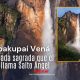 Vista del Salto Ángel o Kerepakupai Vená, emergiendo desde la cima del Auyantepuy en el Parque Nacional Canaima, estado Bolívar, Venezuela. La cascada, con 979 metros de altura total, se disuelve en niebla antes de tocar la selva. Foto cortesía: @juan_diasparra