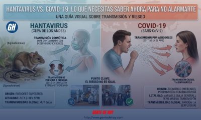 Hantavirus 2026: por qué no es como el COVID y qué debes hacer