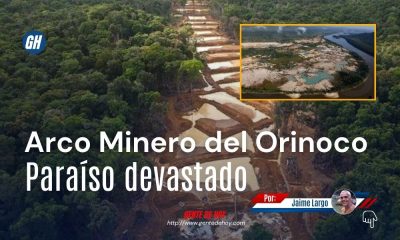 La deforestación avanza sobre ecosistemas de alto valor ambiental en el sur de Venezuela.