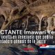 En lo profundo del Auyantepuy: Imawarí Yeutá, la caverna que desafía la historia del planeta