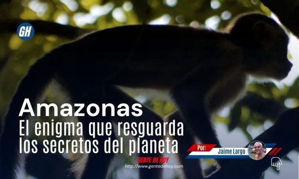 La inmensidad de la selva amazónica venezolana guarda secretos ancestrales y una biodiversidad única en el planeta
