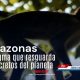 La inmensidad de la selva amazónica venezolana guarda secretos ancestrales y una biodiversidad única en el planeta