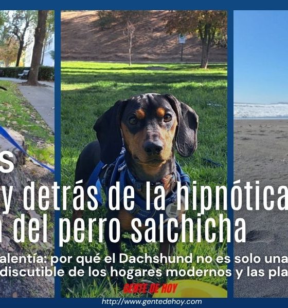 Detrás de esa silueta alargada y esos andares divertidos se esconde el corazón de un auténtico cazador imperial.