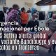 El Director General de la OMS insta a los países miembros a reforzar la vigilancia epidemiológica en puertos y aeropuertos de manera inmediata.