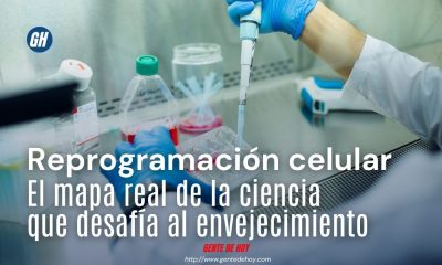 Lejos de los mitos de la inmortalidad, laboratorios de élite e institutos académicos avanzan en los primeros ensayos clínicos autorizados para rejuvenecer tejidos específicos en humanos.