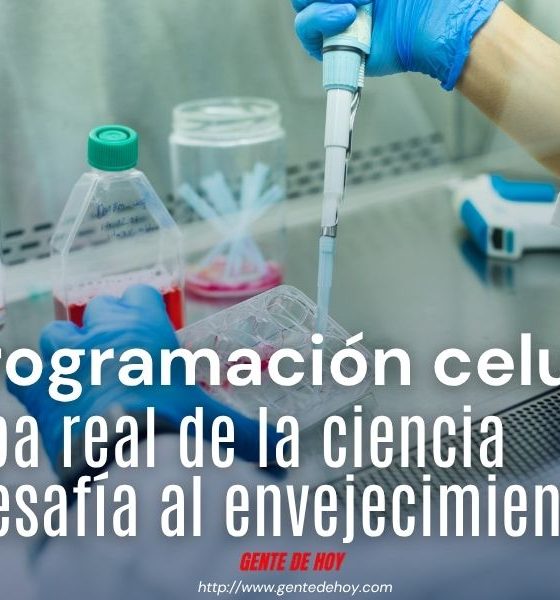 Lejos de los mitos de la inmortalidad, laboratorios de élite e institutos académicos avanzan en los primeros ensayos clínicos autorizados para rejuvenecer tejidos específicos en humanos.