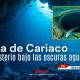 La Fosa de Cariaco es considerada uno de los lugares más enigmáticos del Caribe venezolano