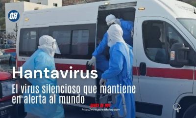 Personal médico y autoridades sanitarias mantienen vigilancia epidemiológica ante el aumento de casos de hantavirus en Sudamérica.