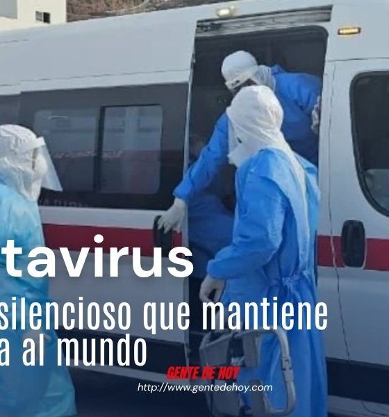 Personal médico y autoridades sanitarias mantienen vigilancia epidemiológica ante el aumento de casos de hantavirus en Sudamérica.