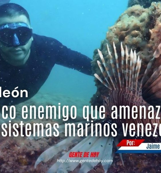 El pez león (Pterois volitans) es una especie invasora originaria del Indo-Pacífico que amenaza la biodiversidad marina del Caribe.