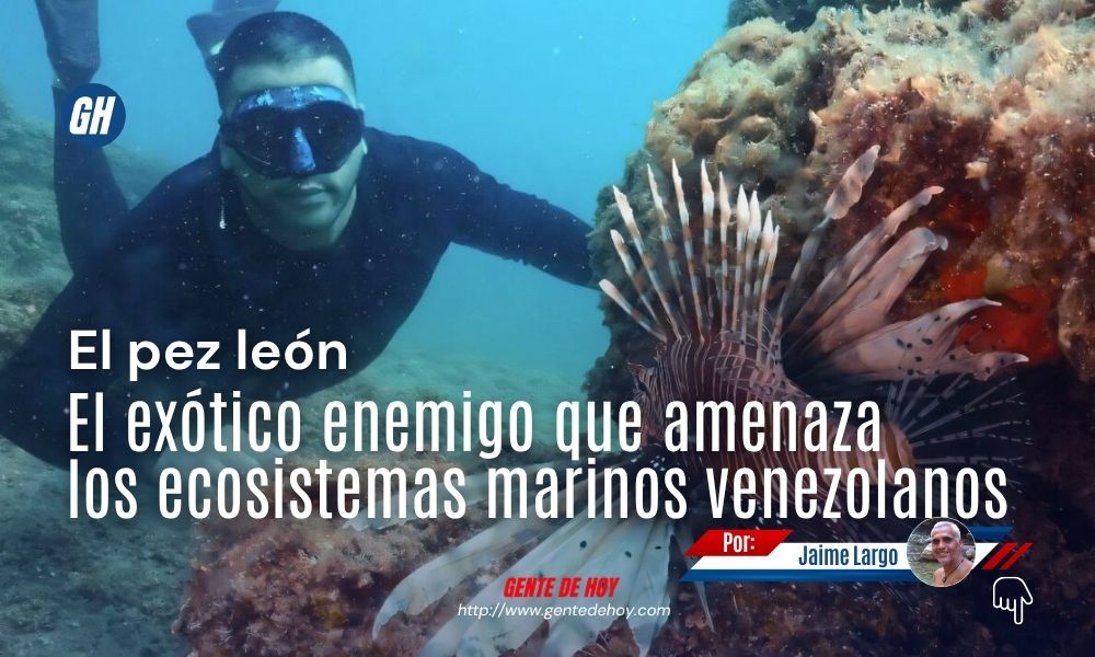 El pez león (Pterois volitans) es una especie invasora originaria del Indo-Pacífico que amenaza la biodiversidad marina del Caribe.
