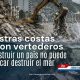 Los escombros generados por el doble evento sísmico requieren un manejo técnico que evite impactos irreversibles sobre los ecosistemas marinos.