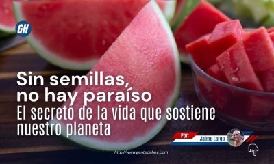 Las semillas contienen el embrión de una nueva planta y conservan la información genética necesaria para garantizar la continuidad de las especies.