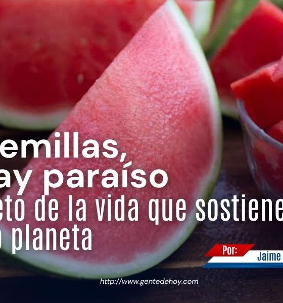 Las semillas contienen el embrión de una nueva planta y conservan la información genética necesaria para garantizar la continuidad de las especies.