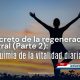 La regeneración integral propone armonizar cuerpo, mente y energía mediante prácticas conscientes que favorecen el bienestar.
