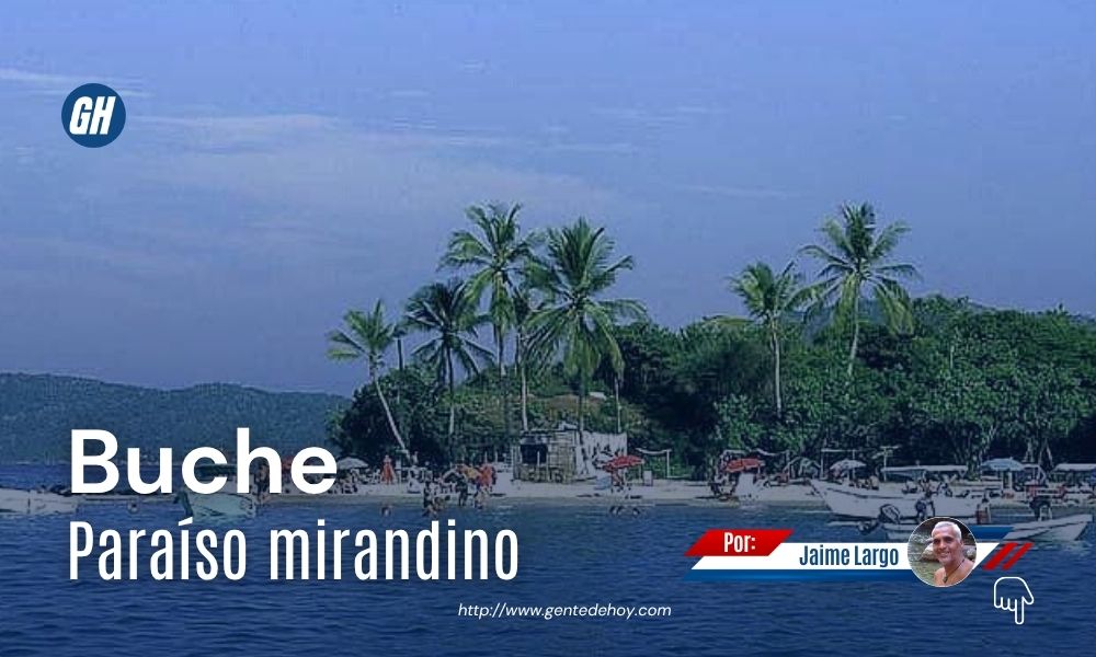 Playa de Buche ofrece aguas tranquilas y cristalinas, rodeadas por un ecosistema de manglares que convierte este destino en un refugio natural del litoral mirandino.