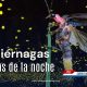 Las luciérnagas iluminan las noches con destellos producidos por un proceso natural conocido como bioluminiscencia.
